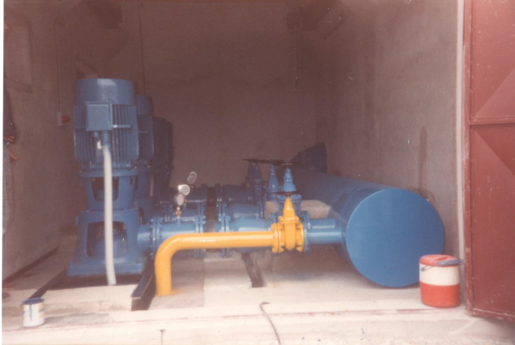 diana1